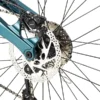 Close-up of bicycle rear wheel with disc brake