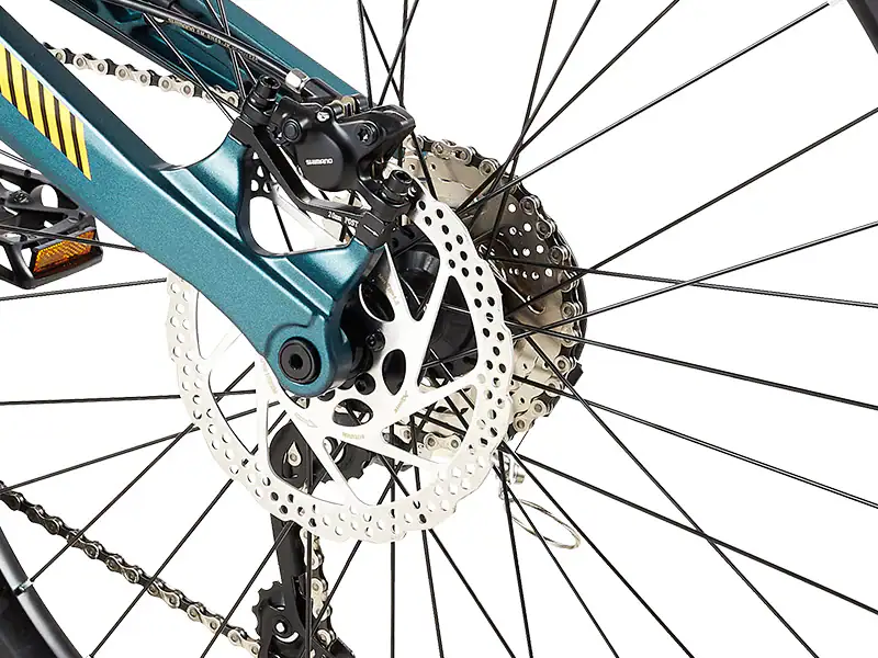 Close-up of bicycle rear wheel with disc brake